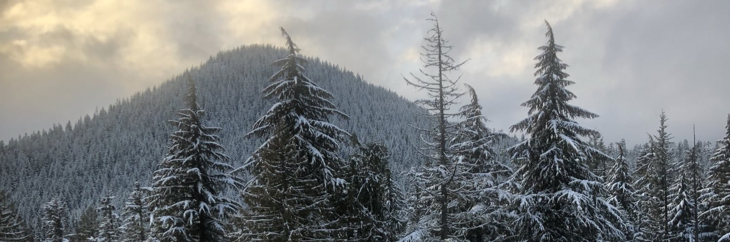 AHulings's profile banner image