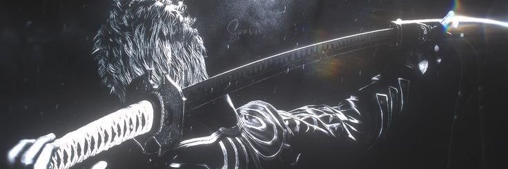 A66 banner