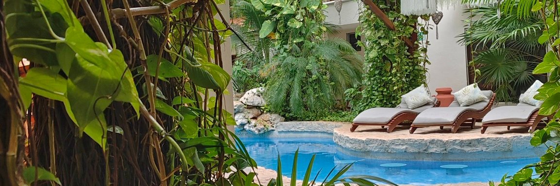 HulkuHotel's profile banner image