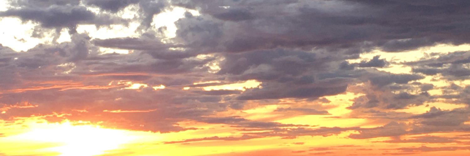 VirginiaPedulla's profile banner image