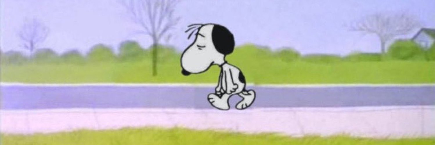 tbitsko90's profile banner image