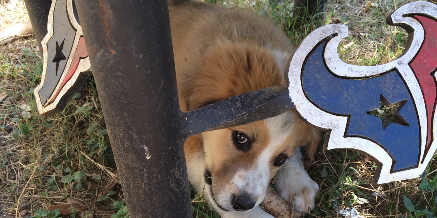 kacrenee's profile banner image