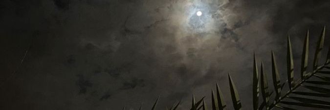 tranem4's profile banner image