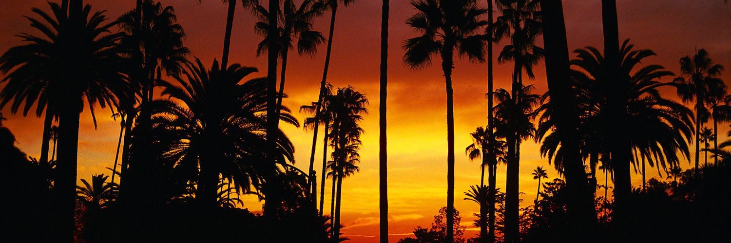 FernandoVon's profile banner image