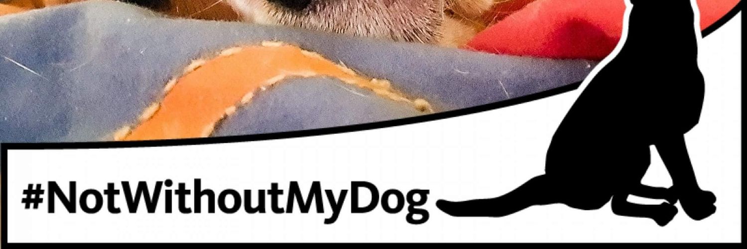 ashtray4241's profile banner image