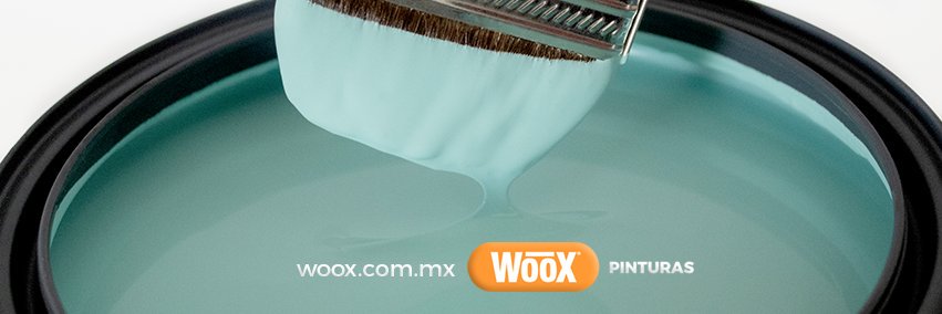 Woox Pinturas banner