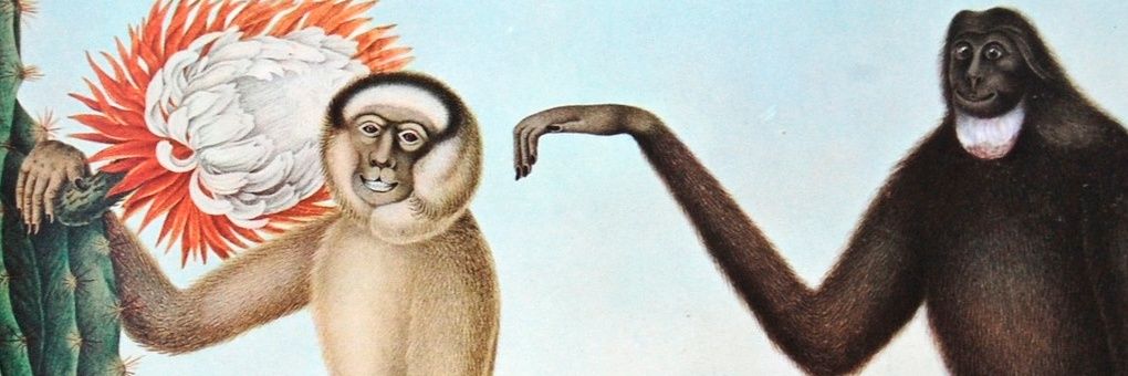 StuartKeeping's profile banner image