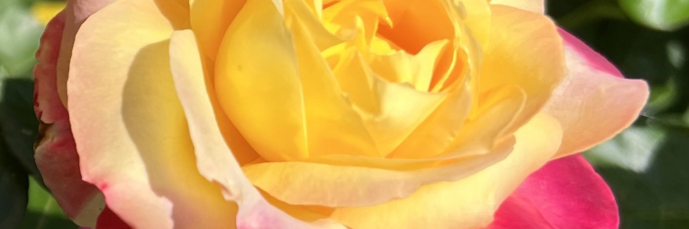 ghis444's profile banner image