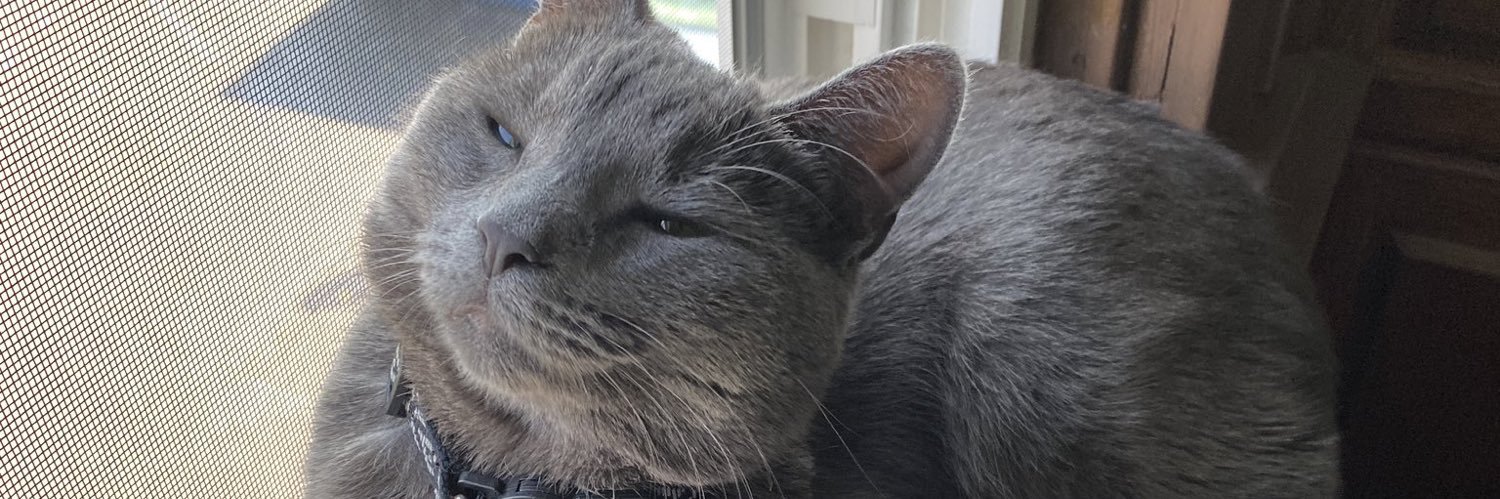 nicolehamski's profile banner image