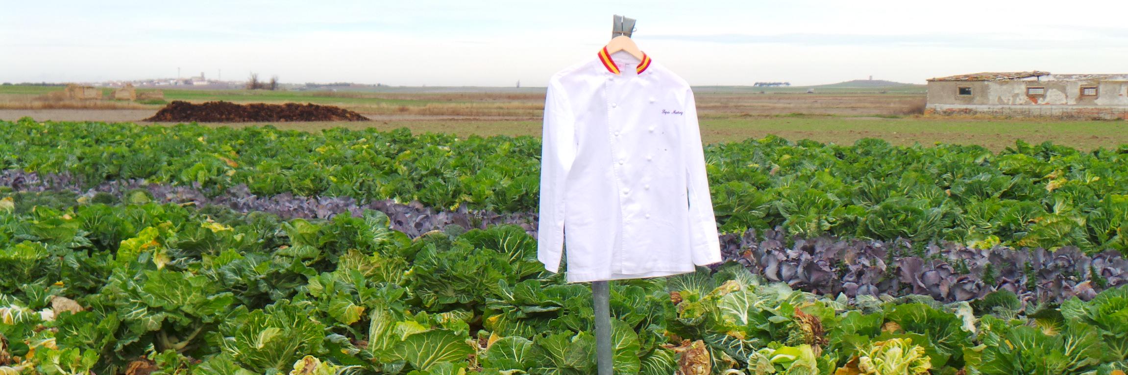 Rest. Qüenco de Pepa y tienda "La Huerta de Pepa" banner