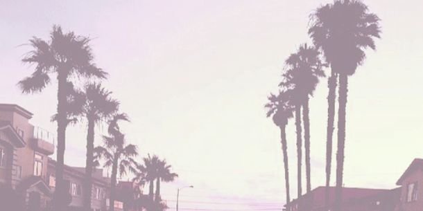 respectfxlharry's profile banner image