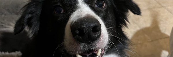 MikesGotThat Profile Banner
