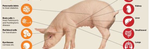 KarlKraebber Profile Banner