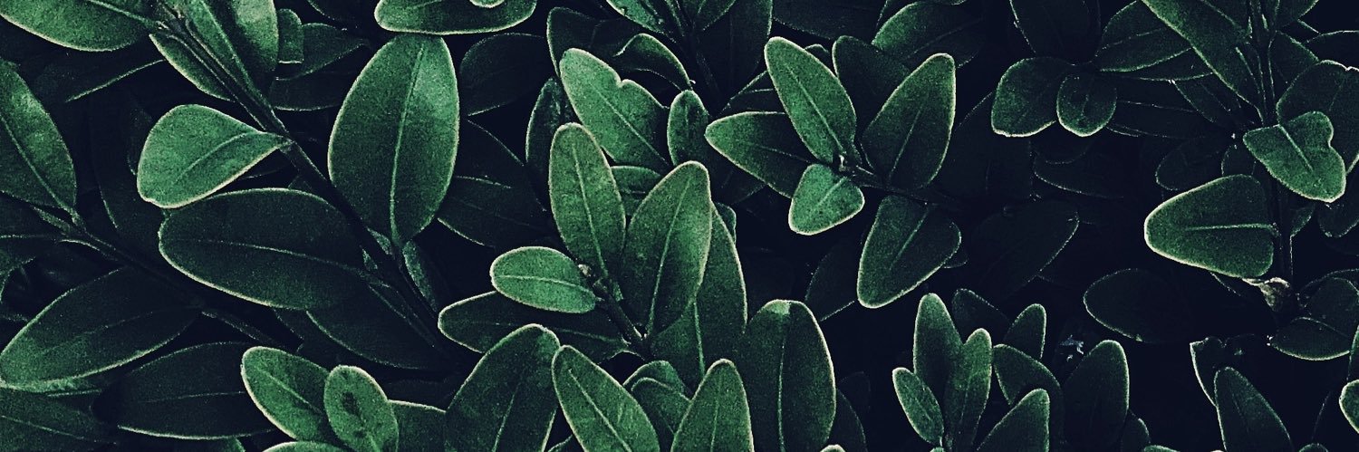 SaPhoom's profile banner image