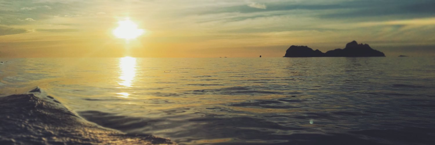 TildoTilly's profile banner image