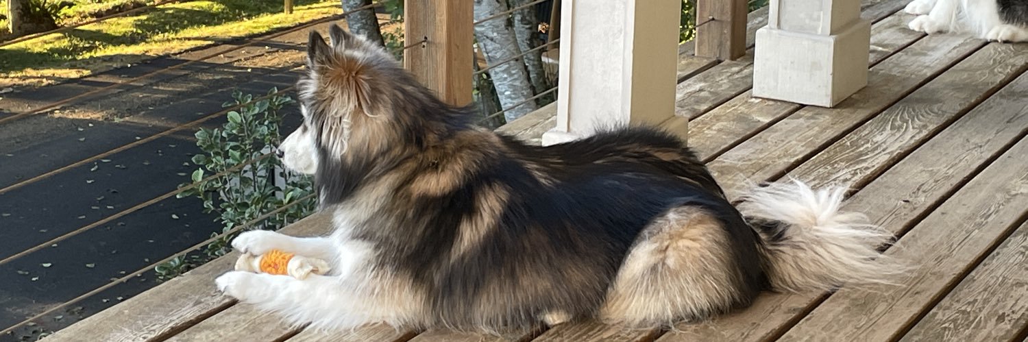 MiraWoofWoof's profile banner image