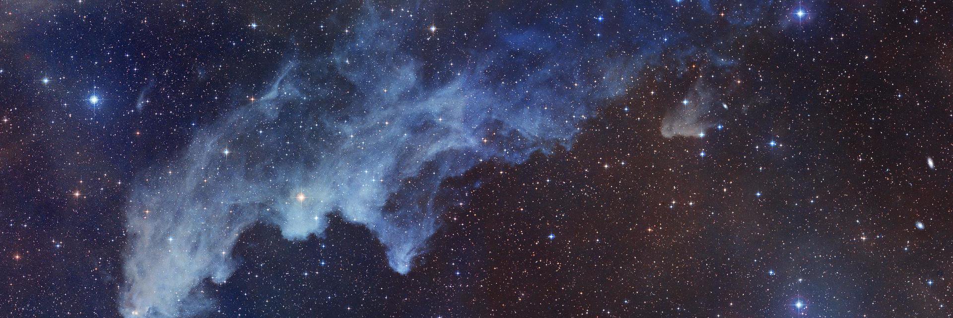 Eugeniu Vozoca banner