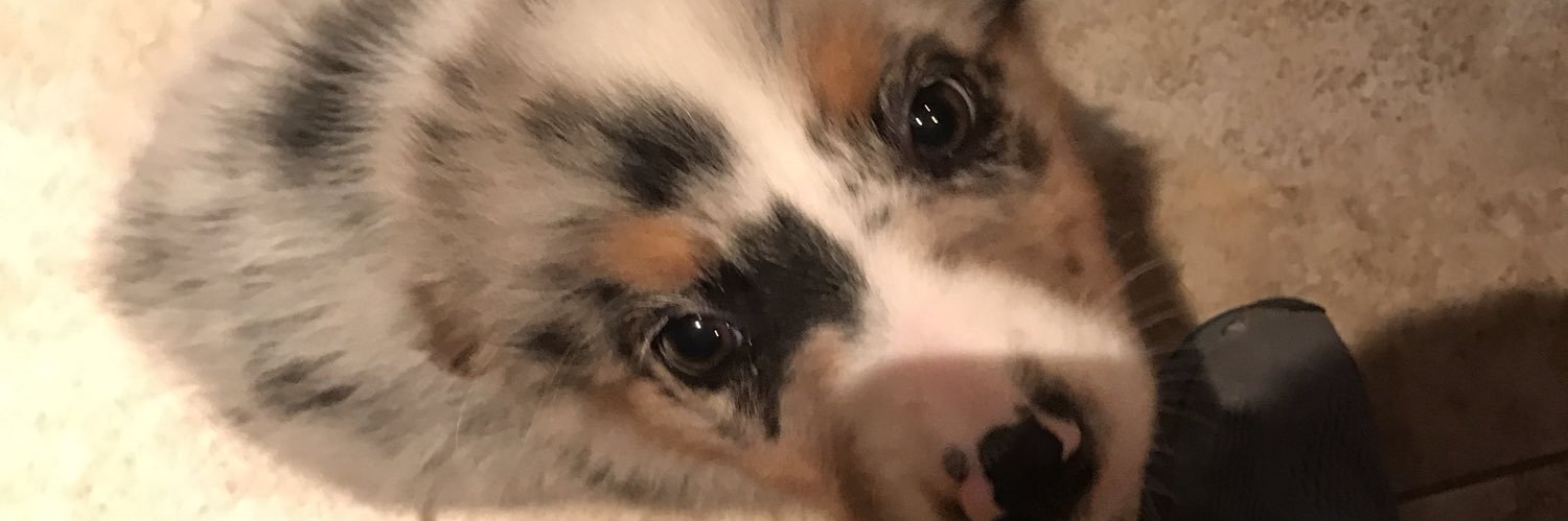 JaXholden's profile banner image