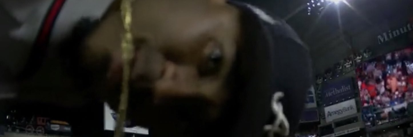 hayleyturnerr_'s profile banner image