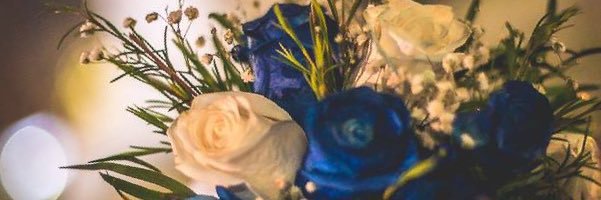vane_inostro's profile banner image