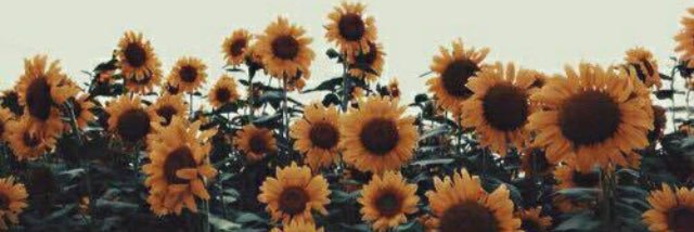 __Mayerling__'s profile banner image
