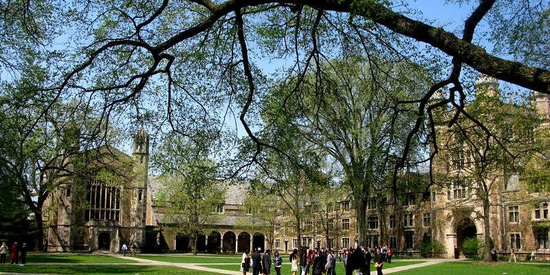 Robin Edelstein banner