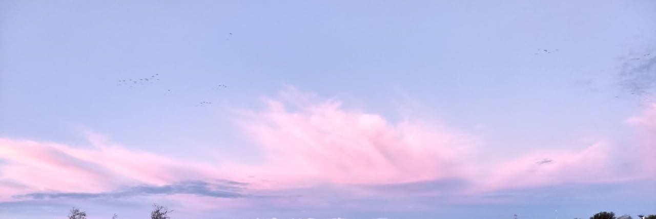 shufabozzi's profile banner image