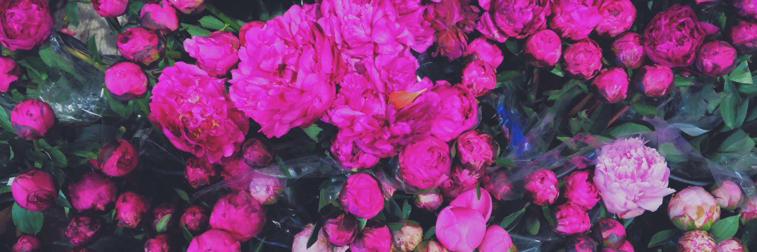 Gabnormally's profile banner image