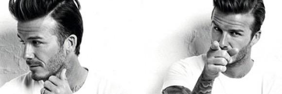 dcramarossa's profile banner image