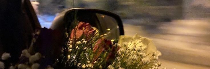 dala 🌙 banner