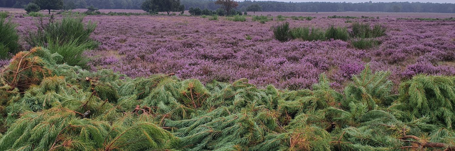 Joseph Doherty banner