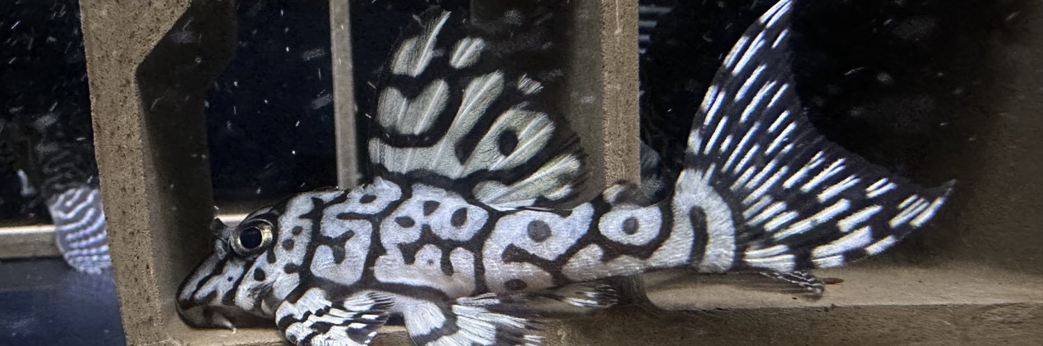 マンボォ∈( ⊙_________ ⊙)∋ banner