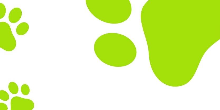 PamperPooch's profile banner image