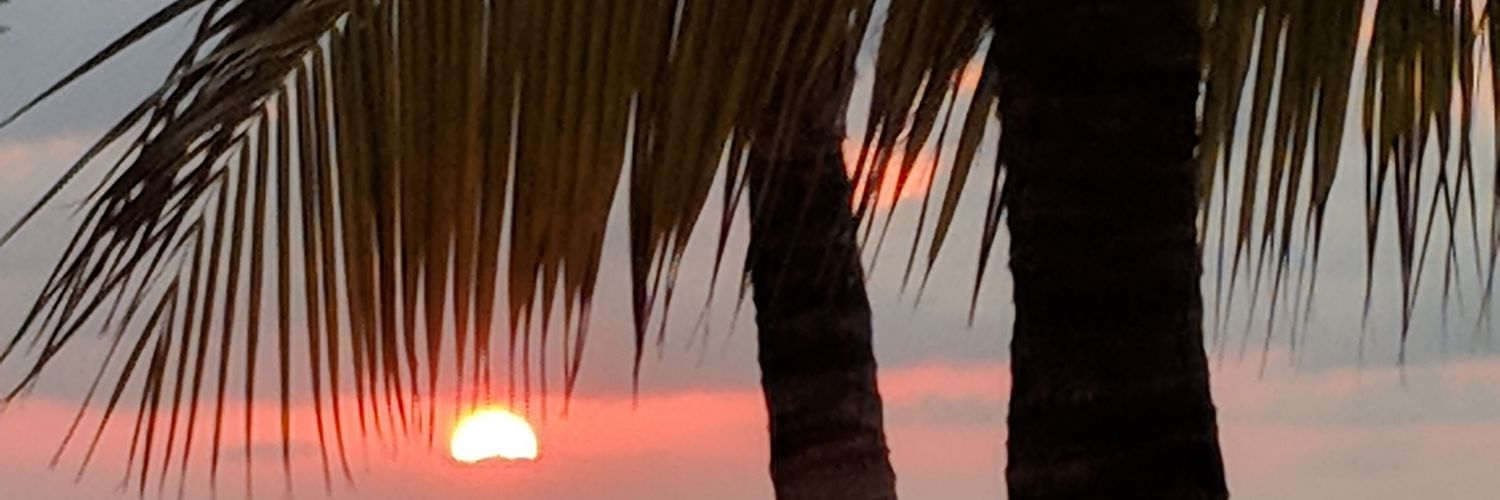 Dennis Lanius banner