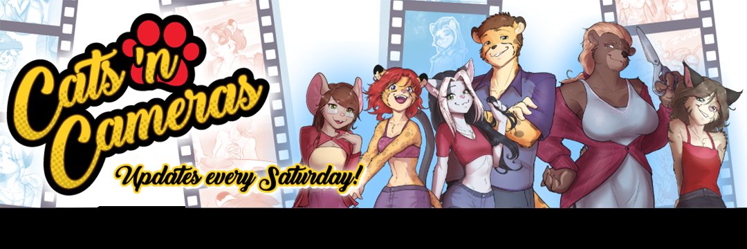 Cats n' Cameras banner