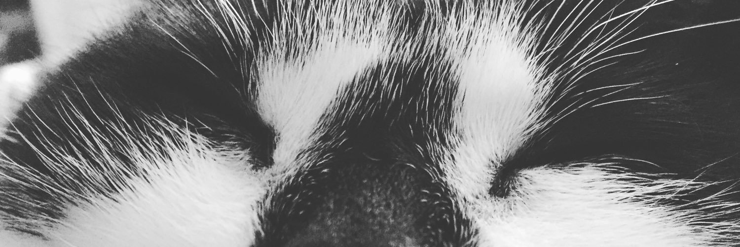 Mimi Nguyen🌻 banner