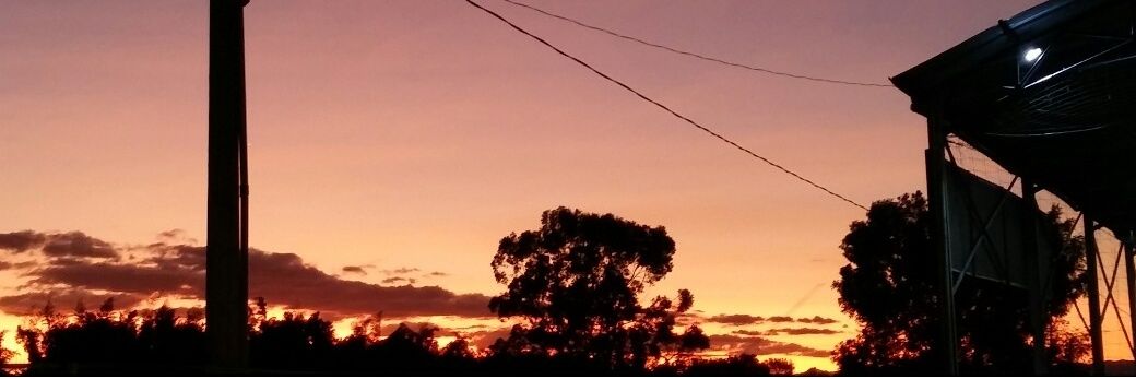 mariap024's profile banner image