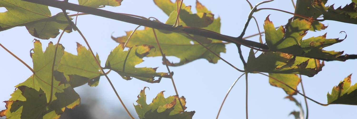 Future Powered News banner