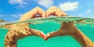 rosanasanchez11's profile banner image