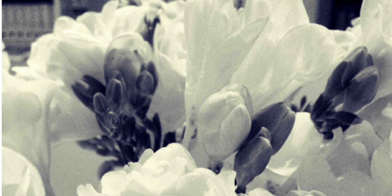 Ahagugu's profile banner image
