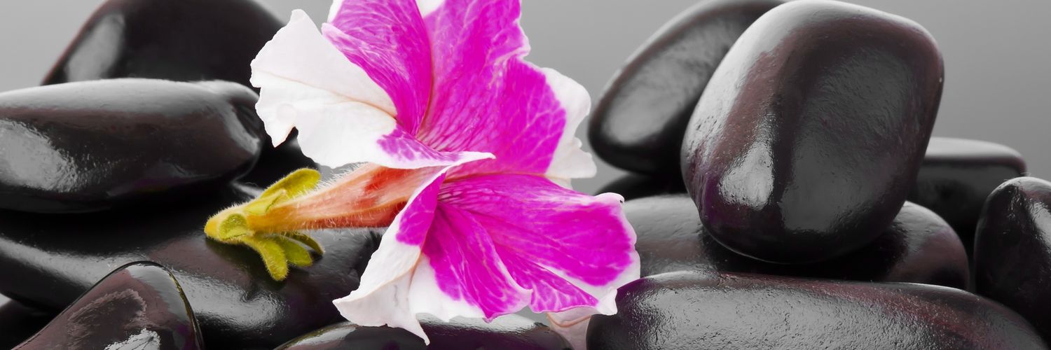 AngieMooreMFC's profile banner image
