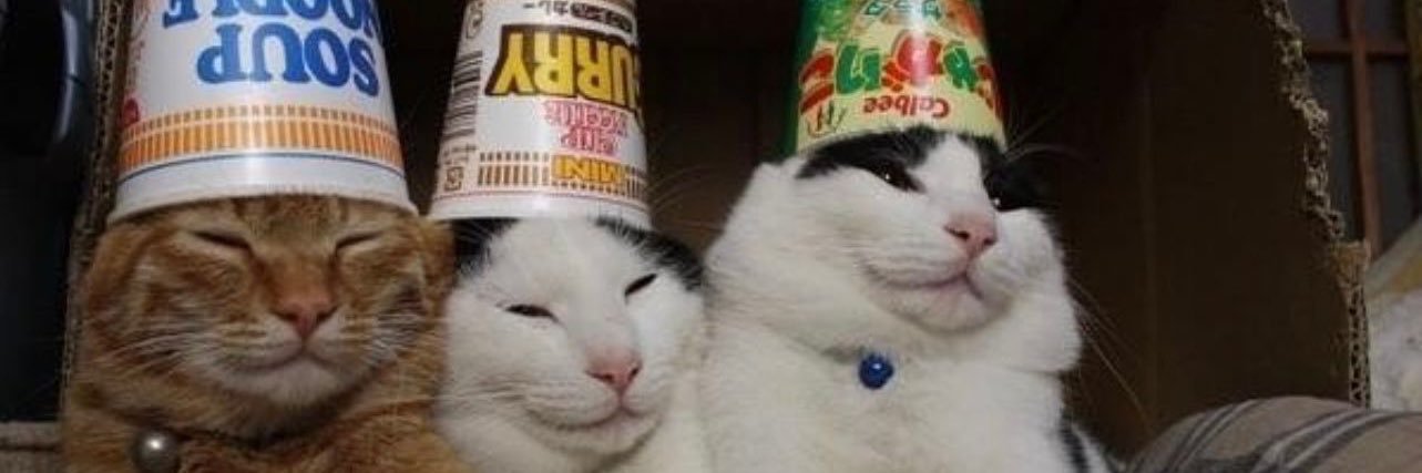 jay_burr15's profile banner image