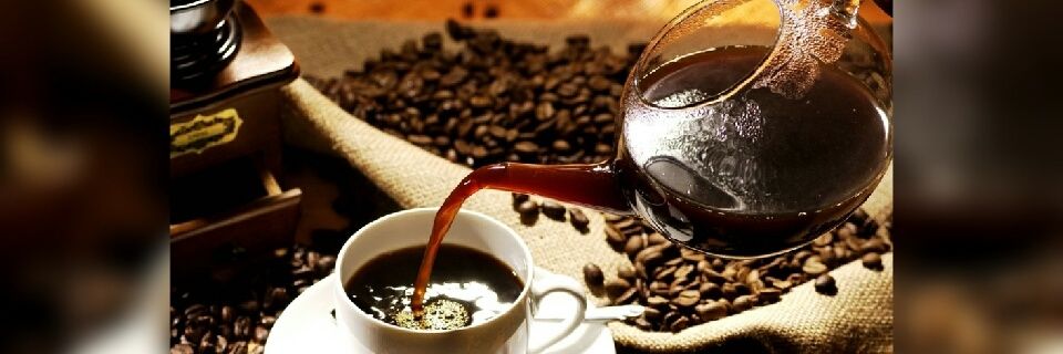 MundoCafeto's profile banner image
