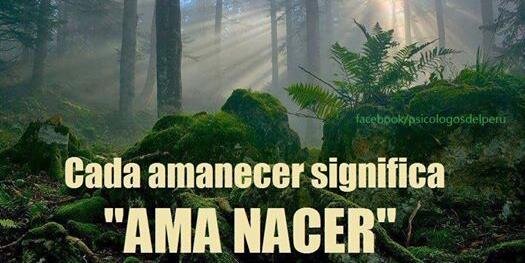 ChepinaFlores's profile banner image