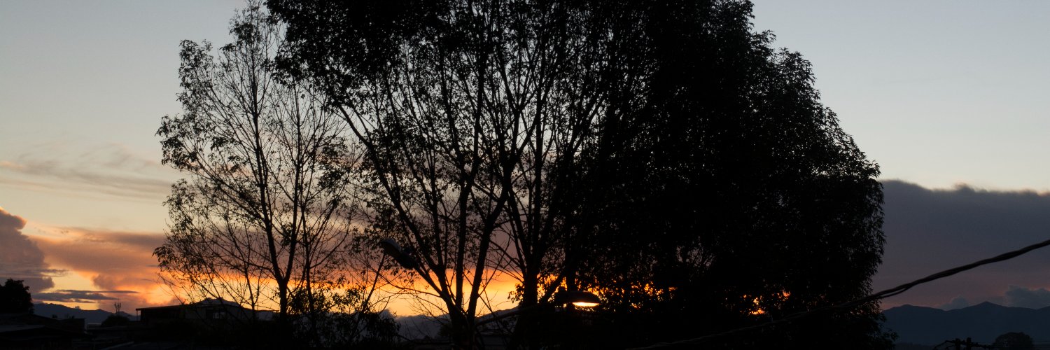 Ucigarro's profile banner image