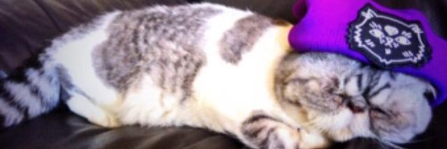 lisey__loo's profile banner image