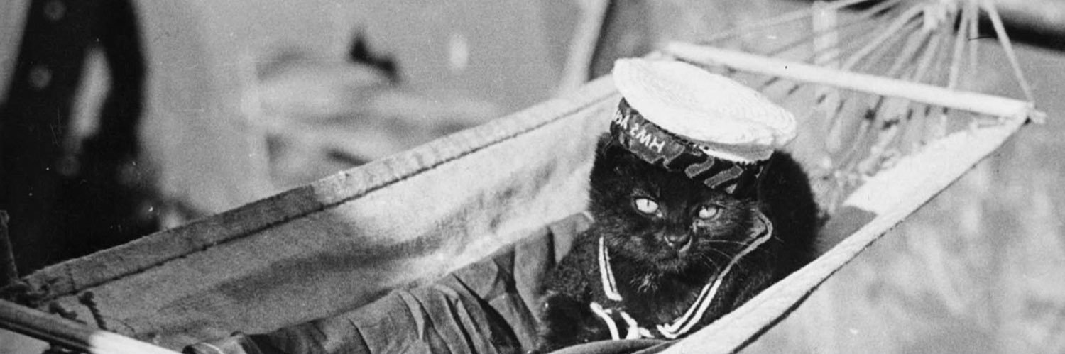 just another childless cat lady banner