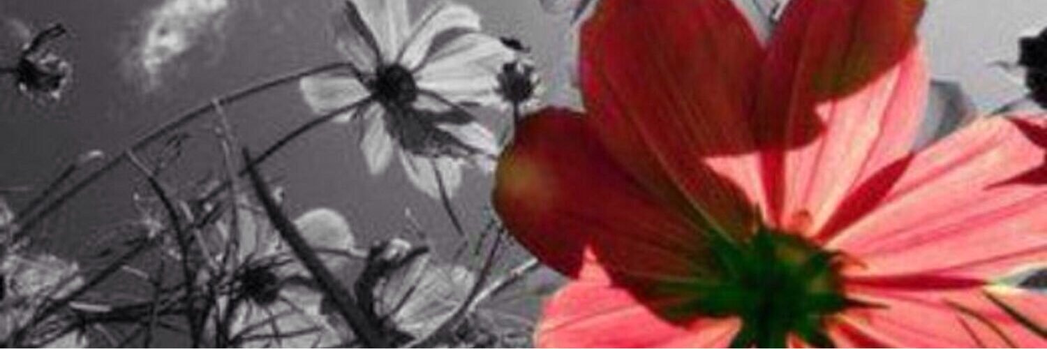 roseart2's profile banner image