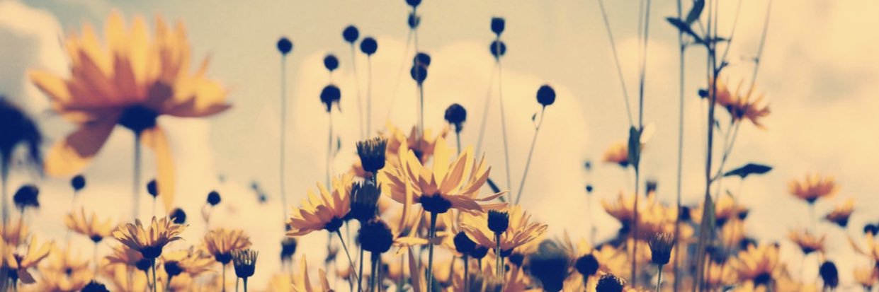 AmandaGeneG's profile banner image