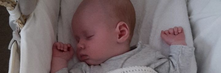 Rebecca Proctor banner